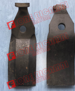 55958 DENTE ERPICE